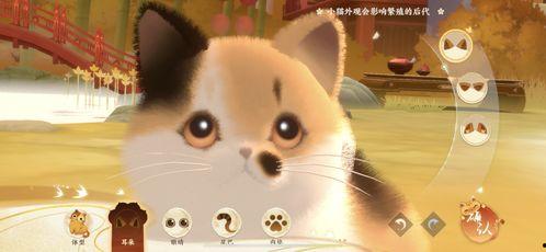 娱乐吃瓜喵不务正业版,揭秘明星不务正业背后的秘密