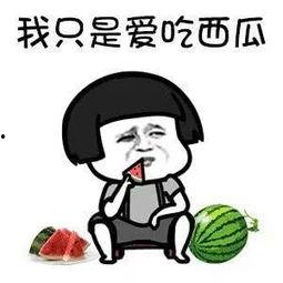 搞笑吃瓜娱乐,娱乐圈欢乐大揭秘